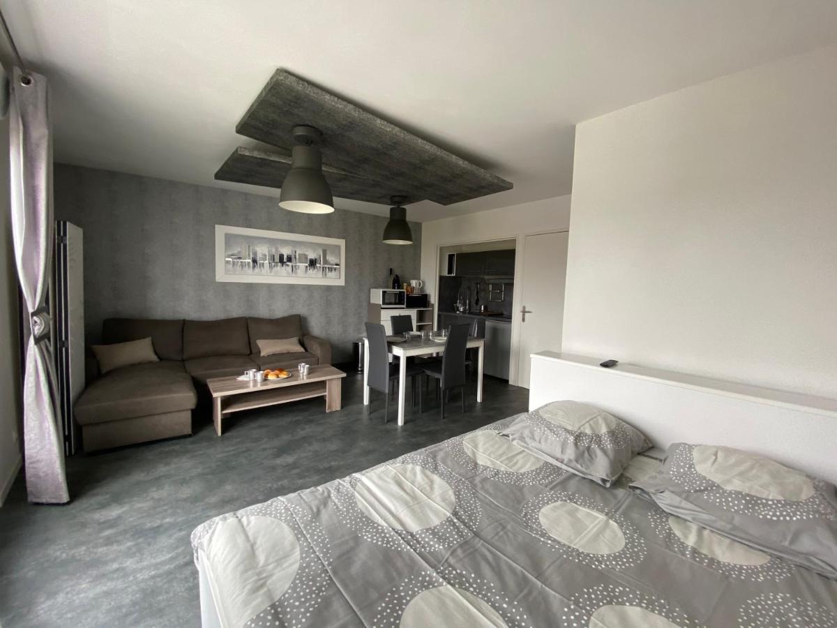 Appartement Du Val De Loire 图尔 外观 照片